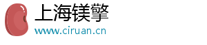 车辆境外号码识别怎么导入车牌号码-上海镁擎